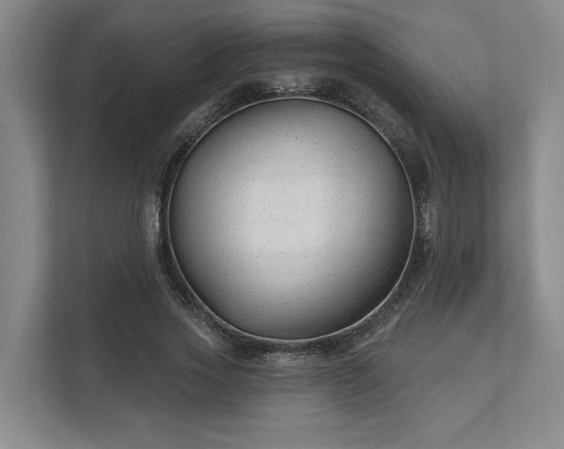 X0000111510733200907211203
