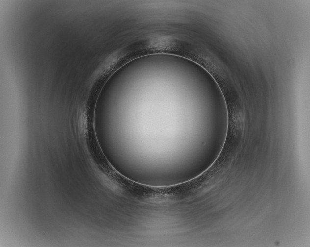 X0000111510734200907211203