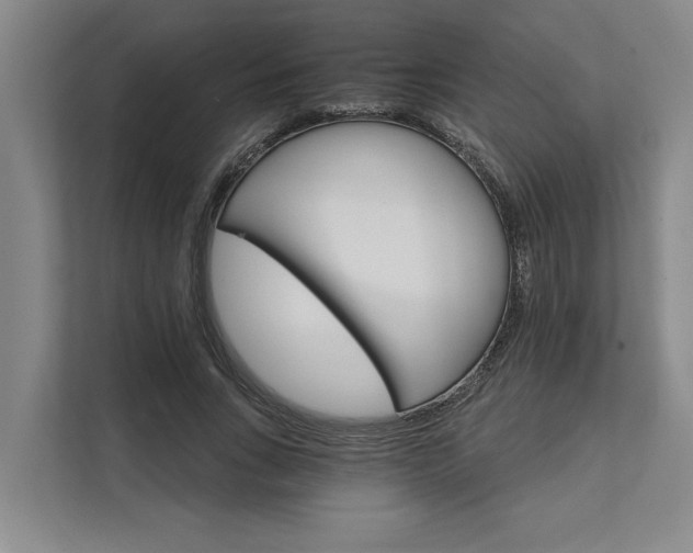 X0000111510735200907211203