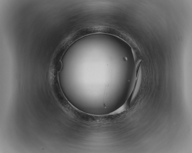 X0000111510736200907211203