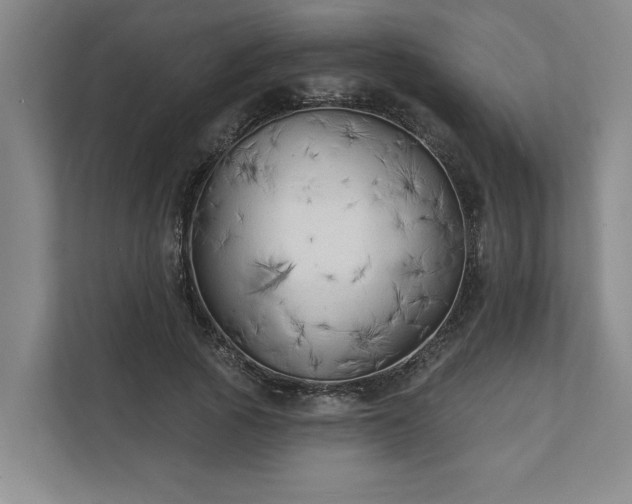 X0000111510737200907211203