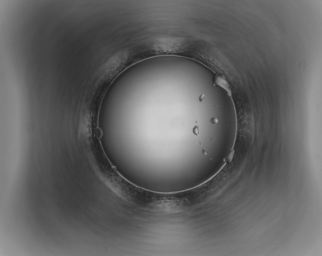 X0000111510738200907211203
