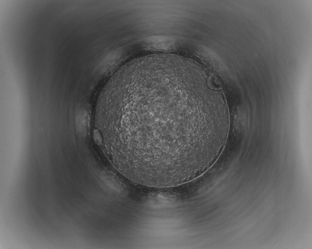 X0000111510739200907211203