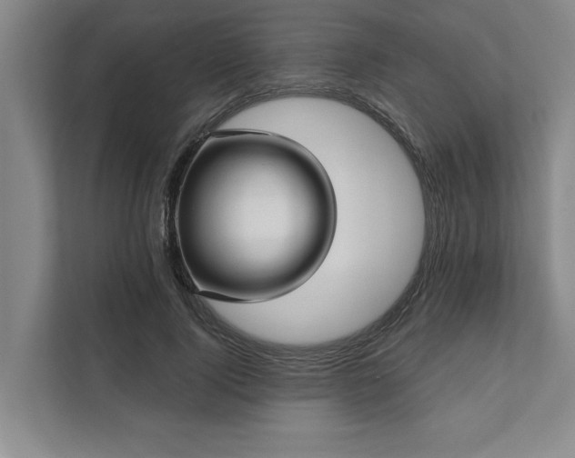 X0000111510740200907211203