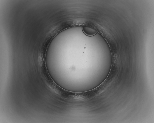 X0000111510741200907211203