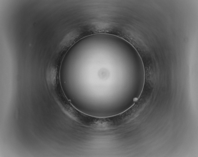 X0000111510742200907211203