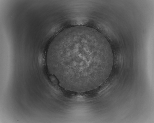 X0000111510743200907211203