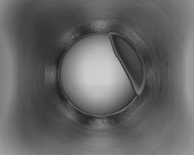 X0000111510744200907211203