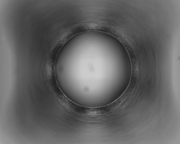 X0000111510746200907211203