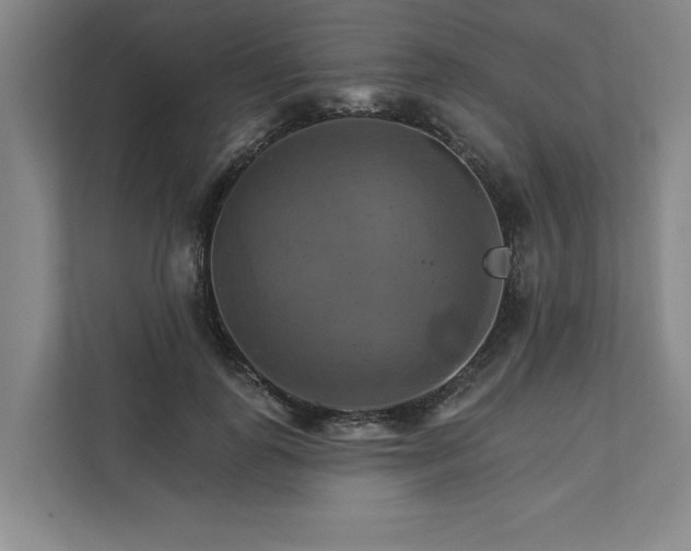 X0000111510747200907211203