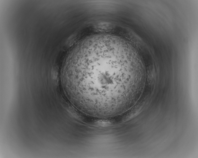 X0000111510749200907211203
