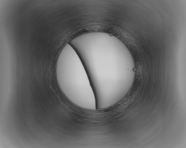 X0000111510751200907211203