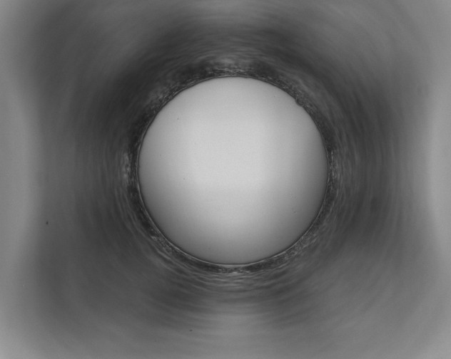 X0000111510752200907211203