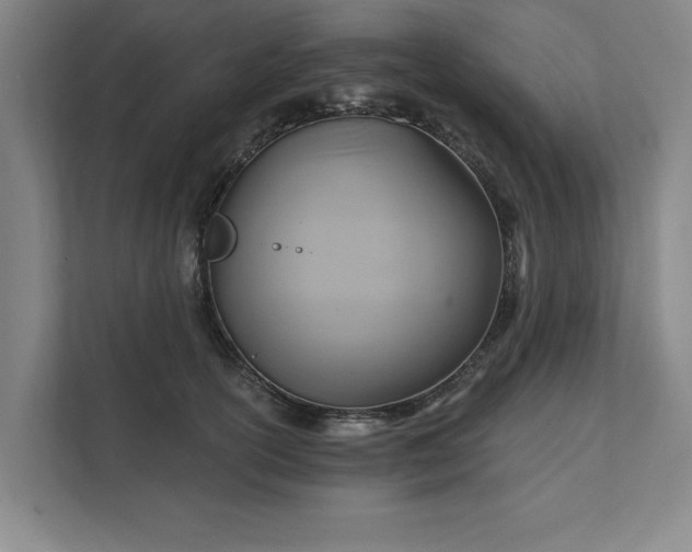 X0000111510754200907211203