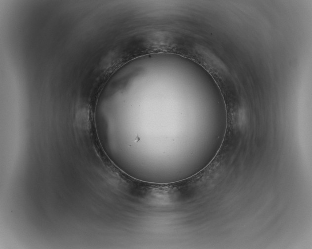 X0000111510757200907211203