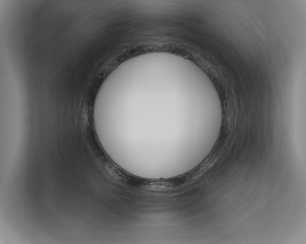X0000111510758200907211203