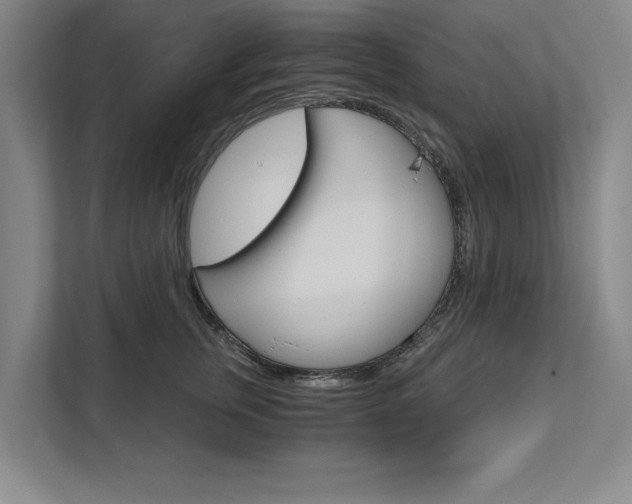 X0000111510759200907211203