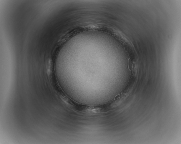 X0000111510760200907211203