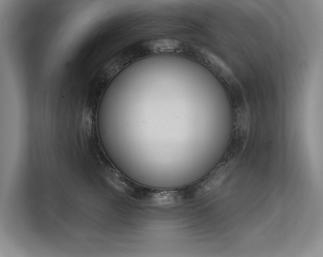 X0000111510761200907211203
