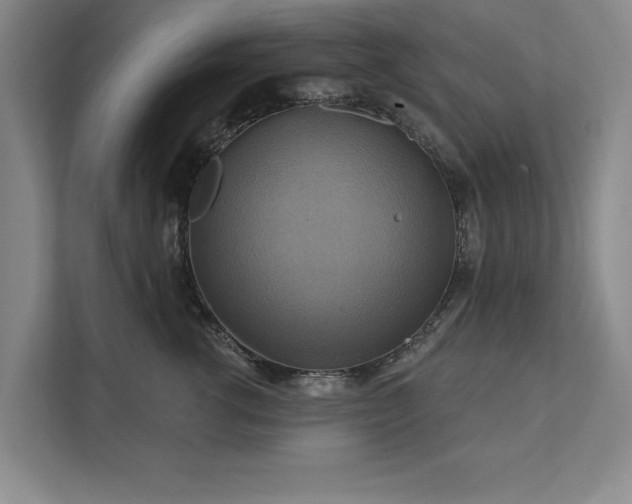 X0000111510762200907211203