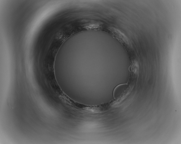 X0000111510763200907211203