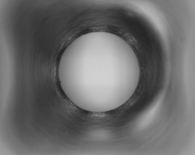 X0000111510767200907211203