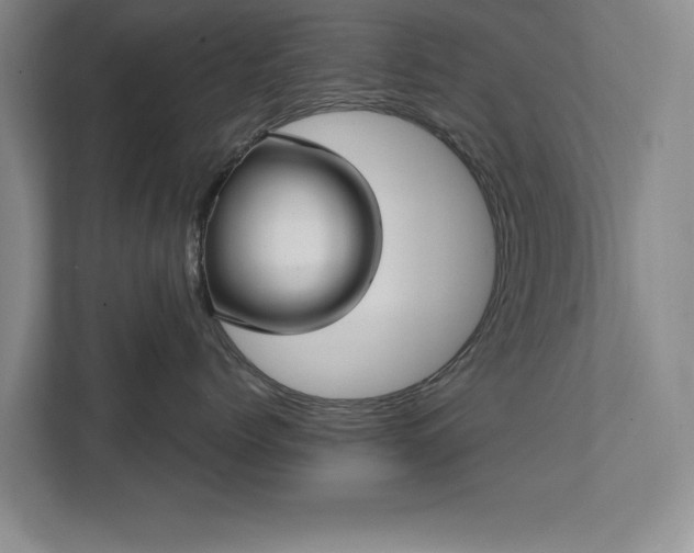 X0000111510768200907211203