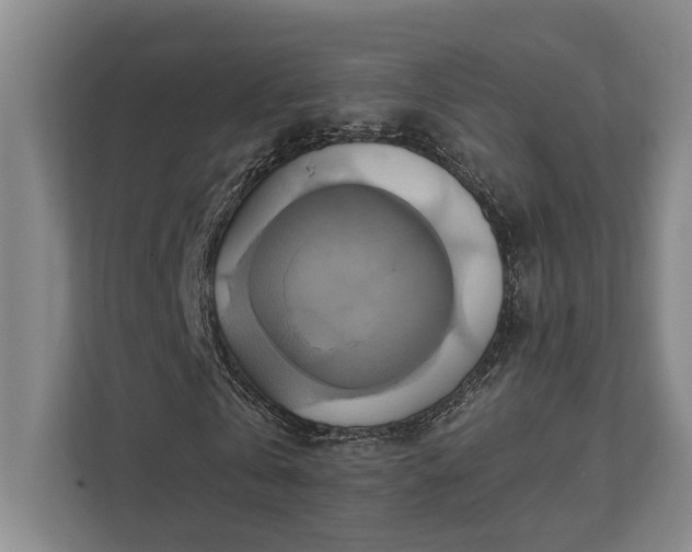 X0000111510769200907211203