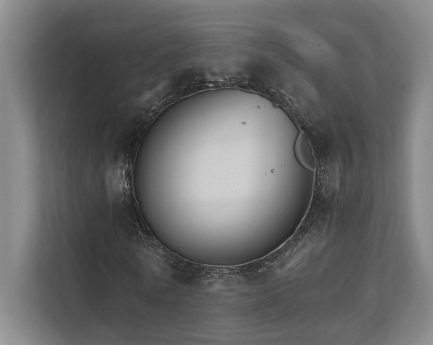 X0000111510770200907211203