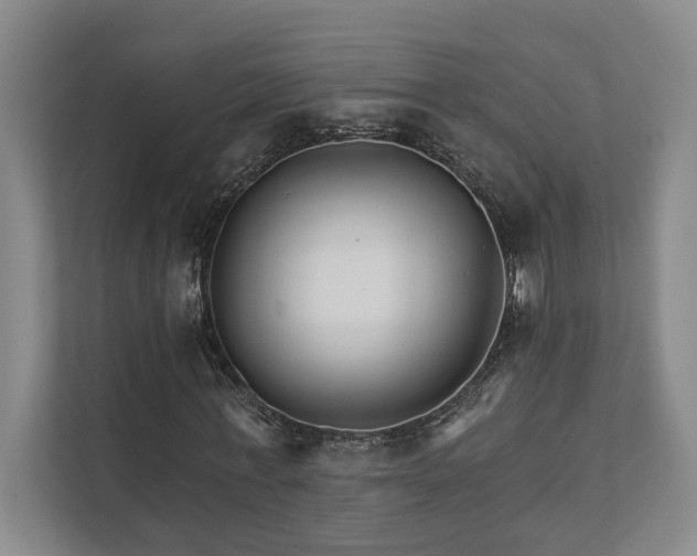 X0000111510771200907211203