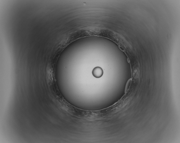 X0000111510772200907211202