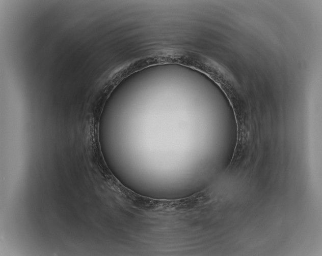 X0000111510773200907211202