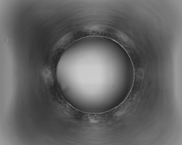 X0000111510774200907211202
