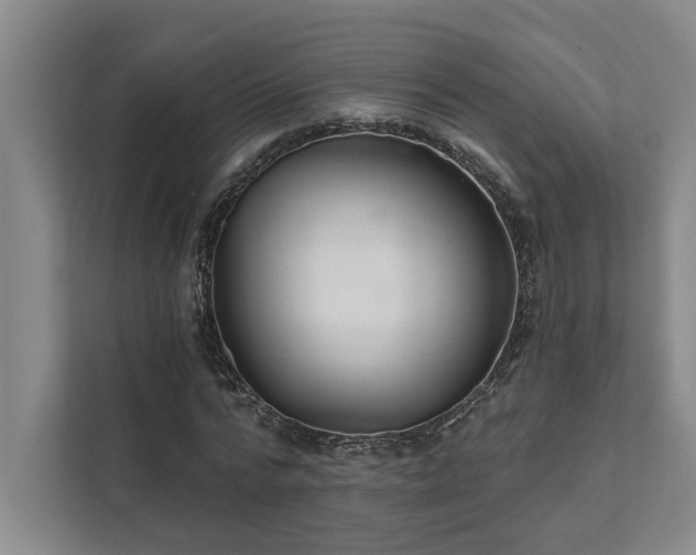 X0000111510776200907211202
