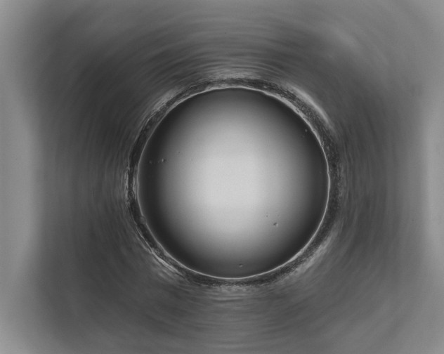 X0000111510777200907211202