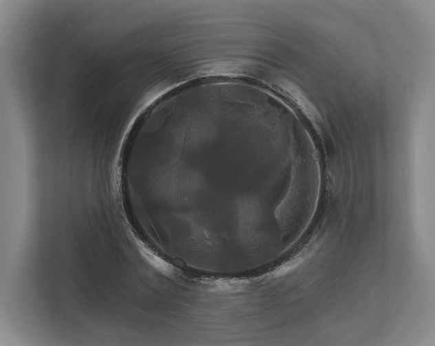 X0000111510779200907211202