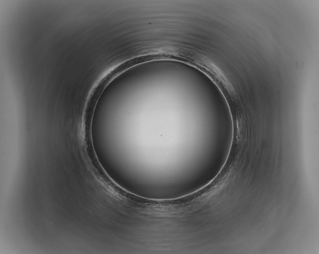 X0000111510780200907211202