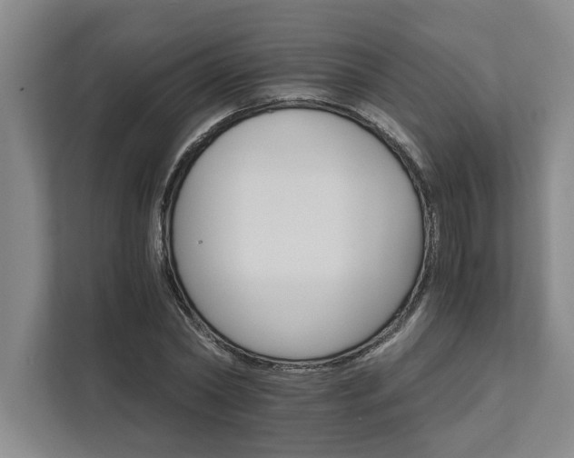 X0000111510782200907211202