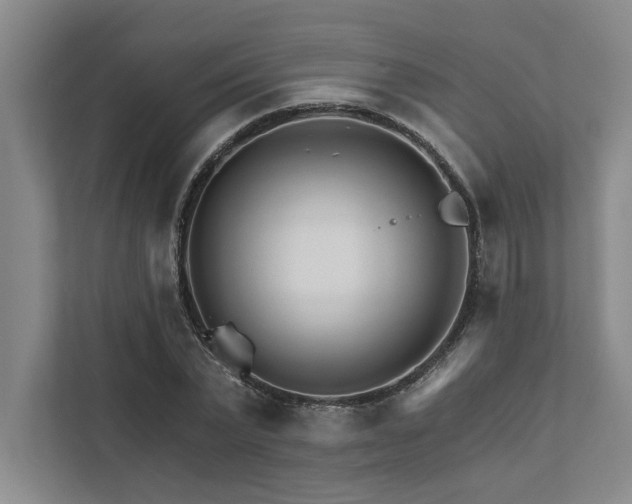 X0000111510783200907211202