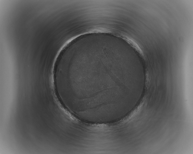 X0000111510784200907211202