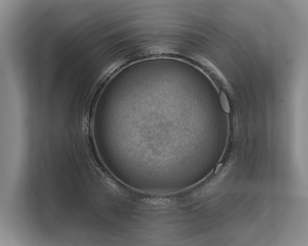 X0000111510785200907211202