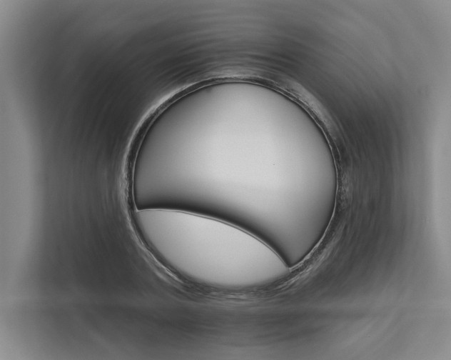 X0000111510787200907211202