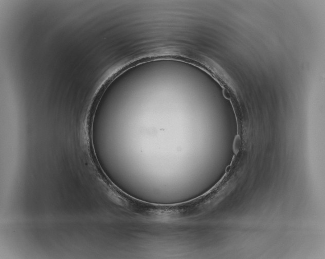 X0000111510789200907211202