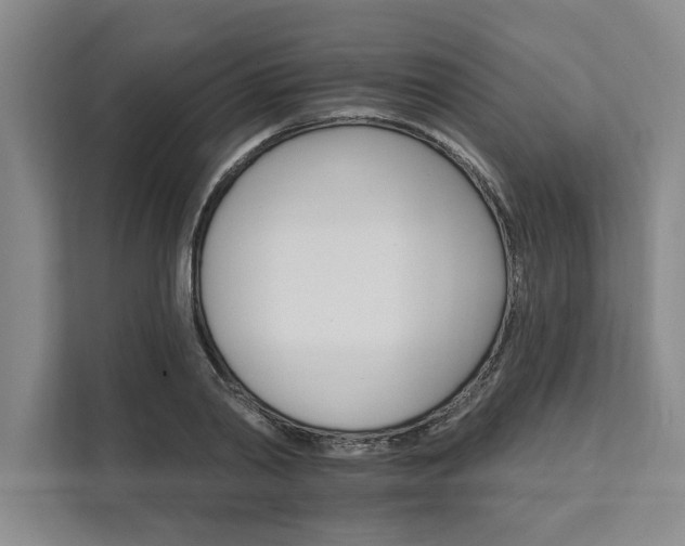 X0000111510790200907211202