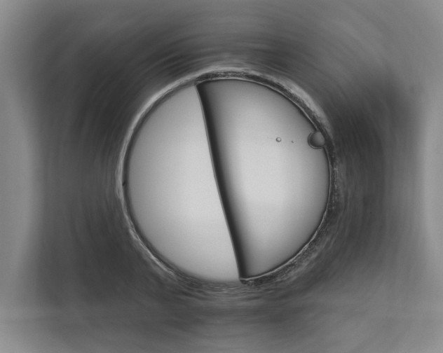 X0000111510791200907211202