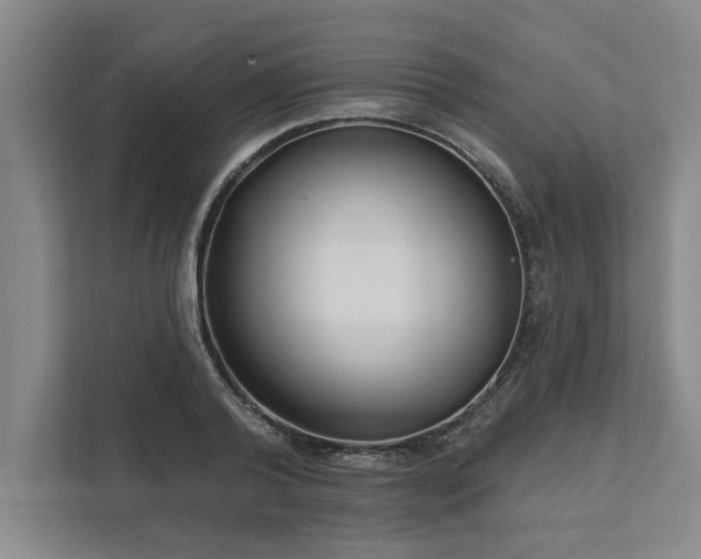 X0000111510792200907211202