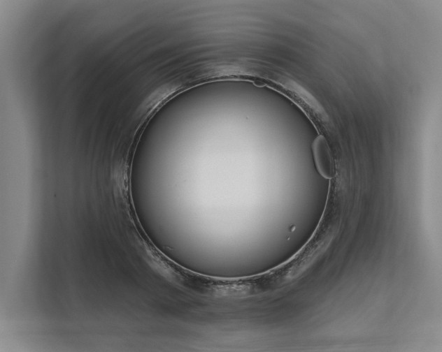 X0000111510793200907211202