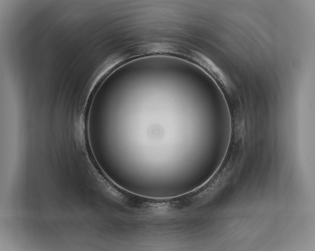 X0000111510798200907211202