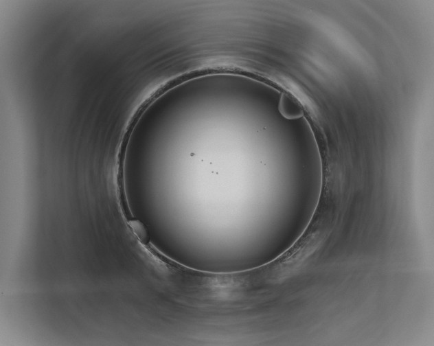 X0000111510799200907211202