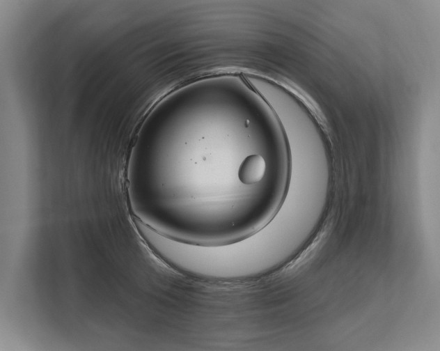 X0000111510801200907211202